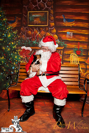 santa-photos-internet-63