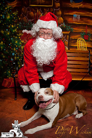 santa-photos-internet-90