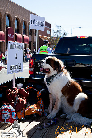 SaintsParade2013_internet-73