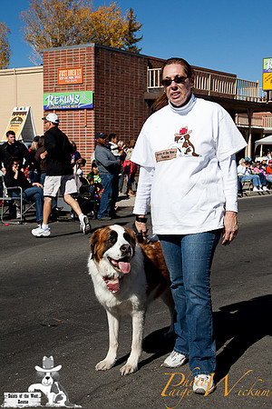 SaintsParade2013_internet-39