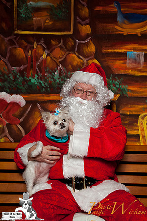 santa-photos-internet-13