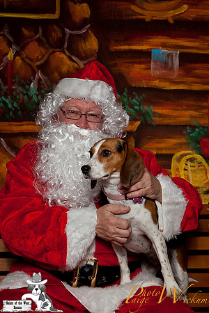 santa-photos-internet-21