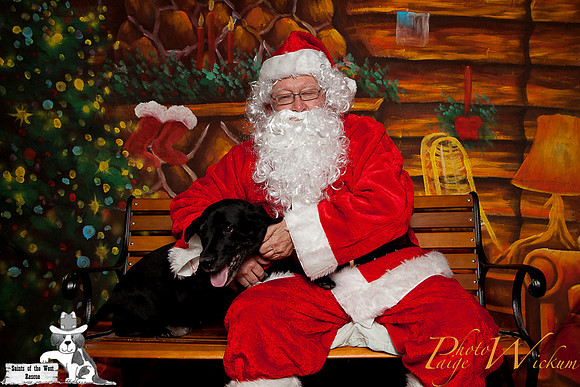 santa-photos-internet-60