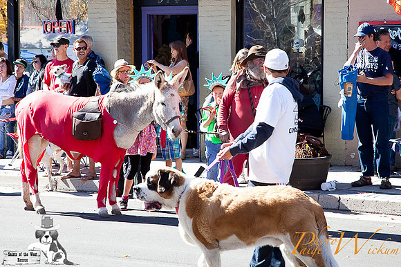 SaintsParade2013_internet-72