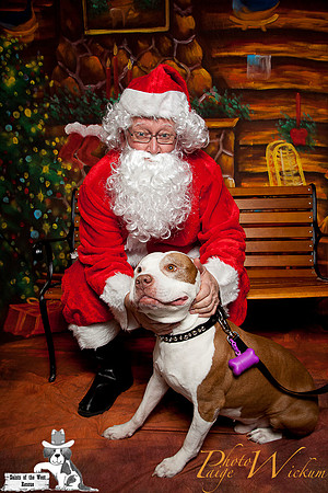 santa-photos-internet-88