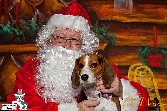 santa-photos-internet-20
