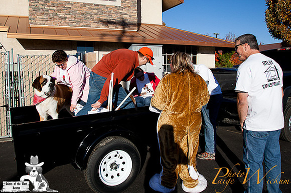 SaintsParade2013_internet-7