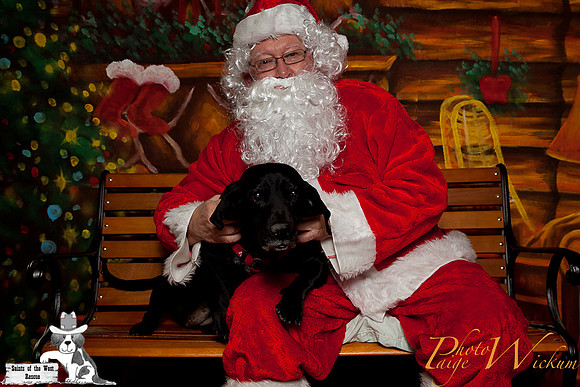santa-photos-internet-58
