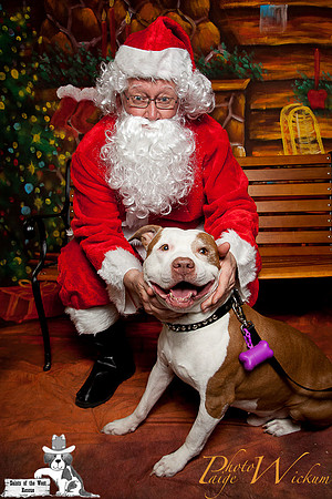 santa-photos-internet-89