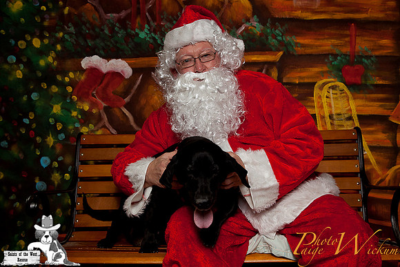 santa-photos-internet-59
