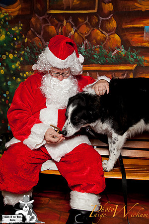 santa-photos-internet-77