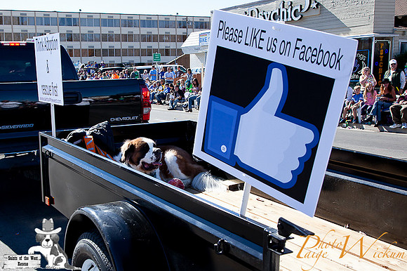 SaintsParade2013_internet-51
