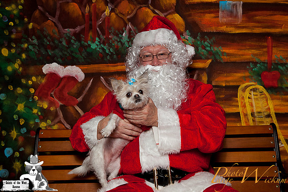 santa-photos-internet-16