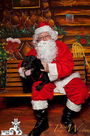 santa-photos-internet-55