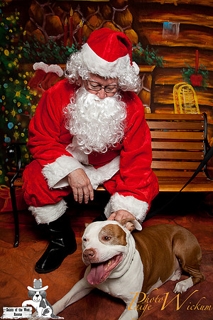 santa-photos-internet-95