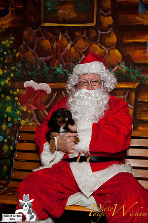 santa-photos-internet-67