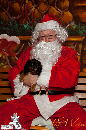 santa-photos-internet-64