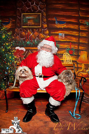 santa-photos-internet-96