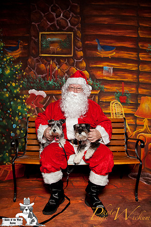 santa-photos-internet-3