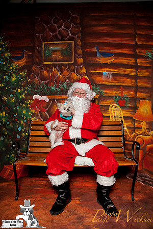 santa-photos-internet-12