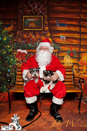 santa-photos-internet-2