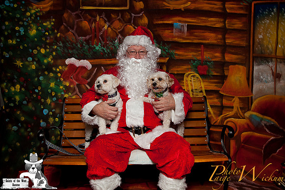 santa-photos-internet-11