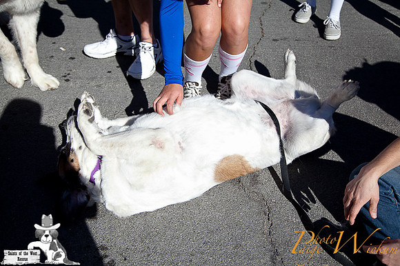 SaintsParade2013_internet-29