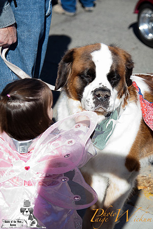 SaintsParade2013_internet-26
