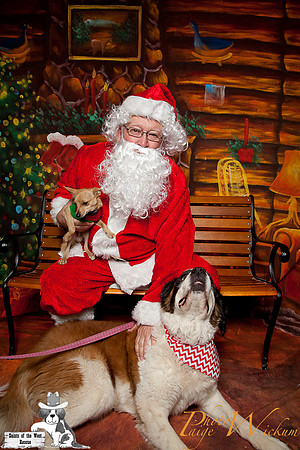 santa-photos-internet-81