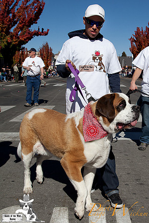 SaintsParade2013_internet-62