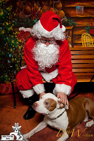 santa-photos-internet-94