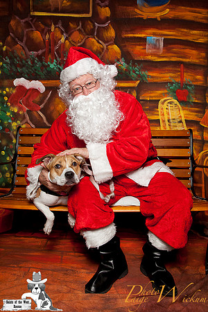 santa-photos-internet-113