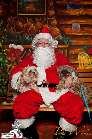 santa-photos-internet-100