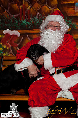 santa-photos-internet-61