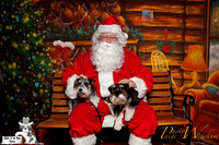santa-photos-internet-6