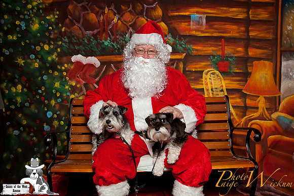 santa-photos-internet-6