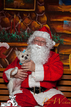 santa-photos-internet-14