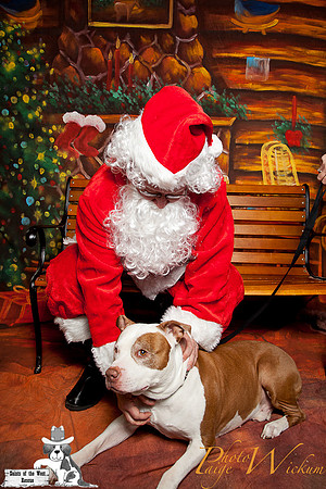 santa-photos-internet-93
