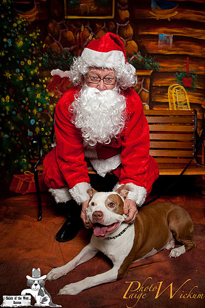 santa-photos-internet-92