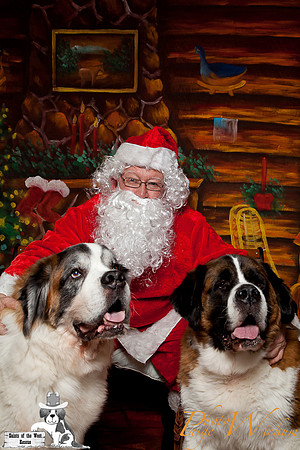 santa-photos-internet-51