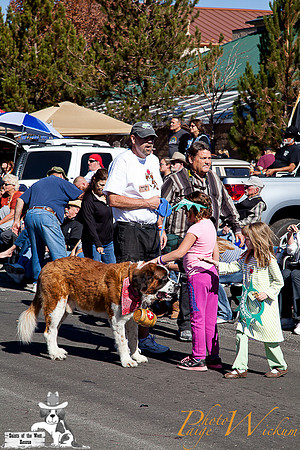 SaintsParade2013_internet-82