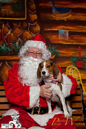 santa-photos-internet-18