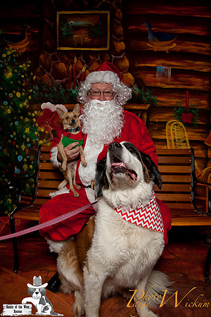 santa-photos-internet-85