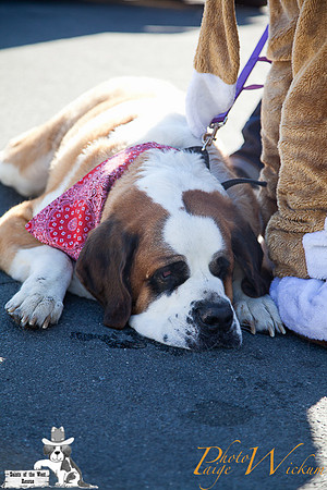 SaintsParade2013_internet-21