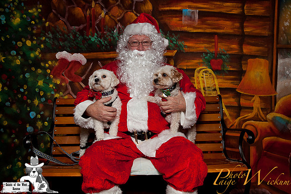 santa-photos-internet-10