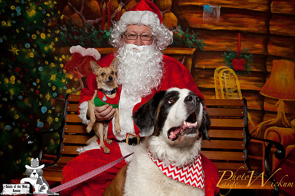 santa-photos-internet-87