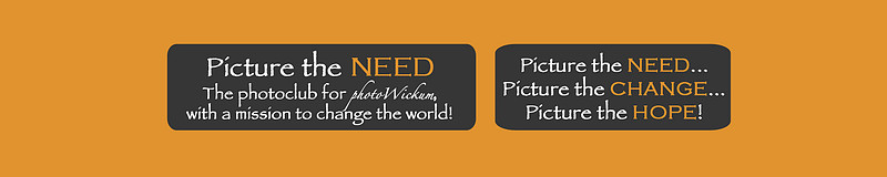 picturetheneedbanner