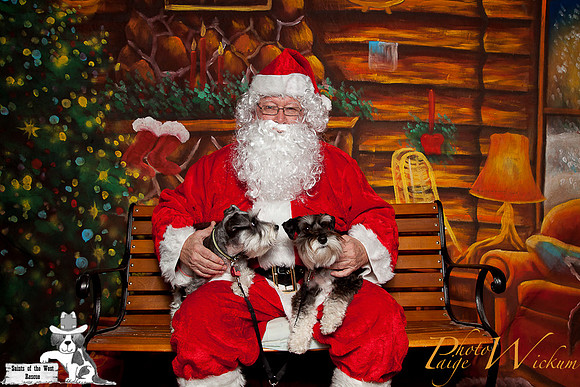 santa-photos-internet-5