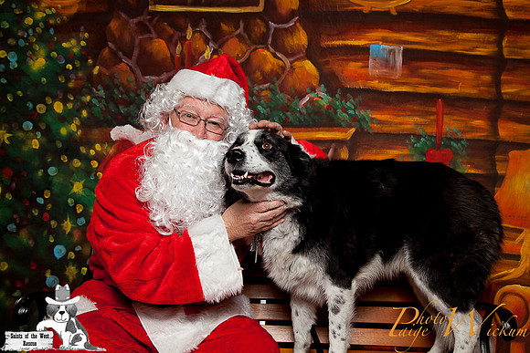santa-photos-internet-78