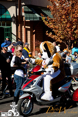 SaintsParade2013_internet-80